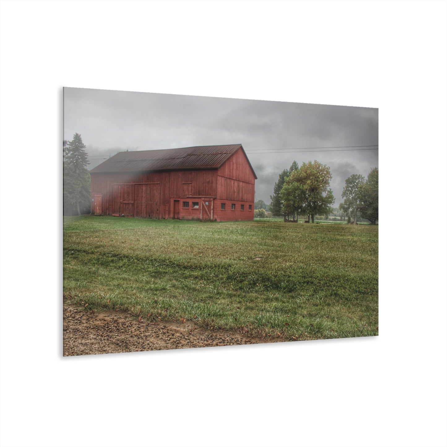 U R There Photography Birch Road Red Rustic Farmhouse Acrylic Wall Print
