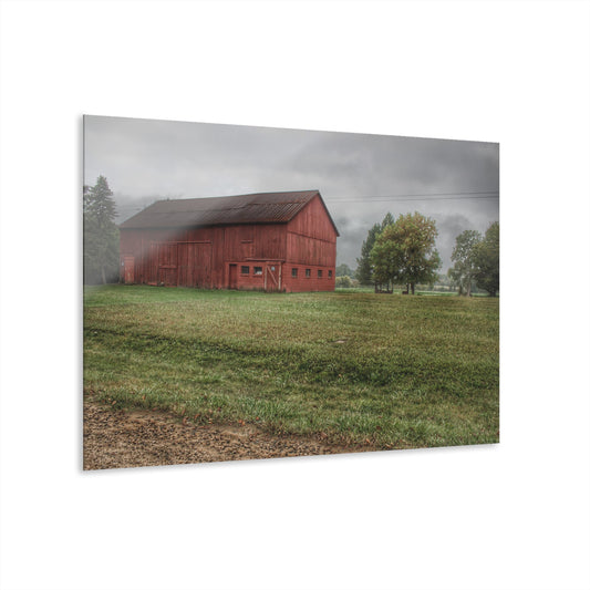 U R There Photography Birch Road Red Rustic Farmhouse Acrylic Wall Print