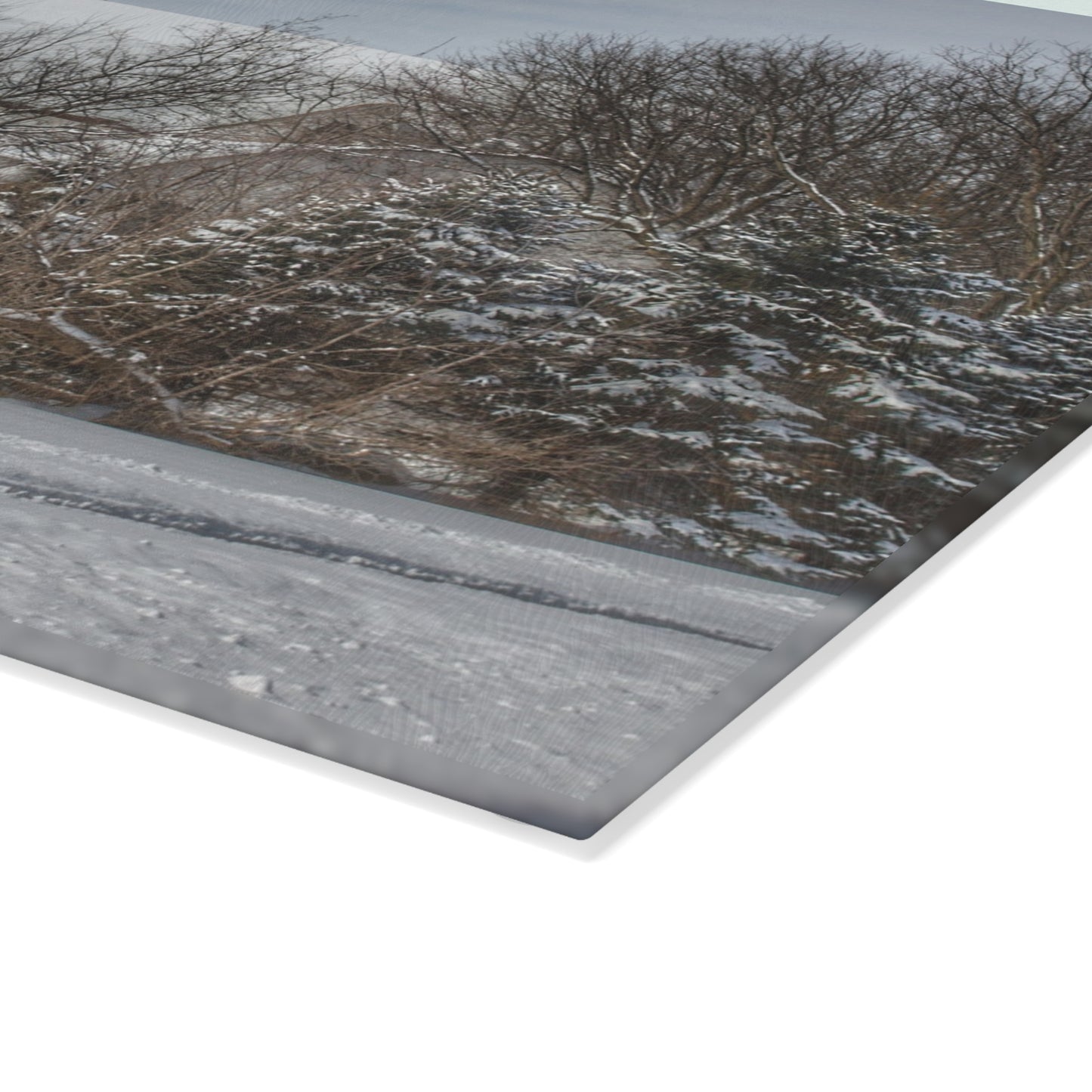 U R There Photography Hidden in Oxford II Rustic Farmhouse Tempered-Glass Cutting Board