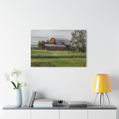U R There Photography West Dodge Road Reds Rustic Farmhouse Acrylic Wall Print