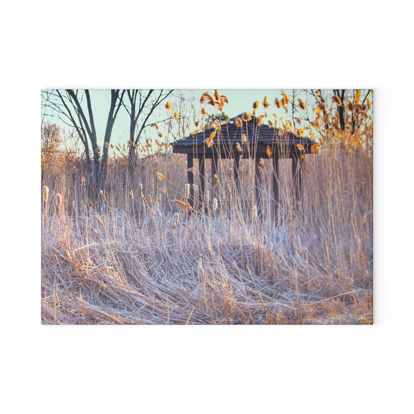 U R There Photography Haines Hidden Gazebo Rustic Farmhouse Tempered-Glass Cutting Board