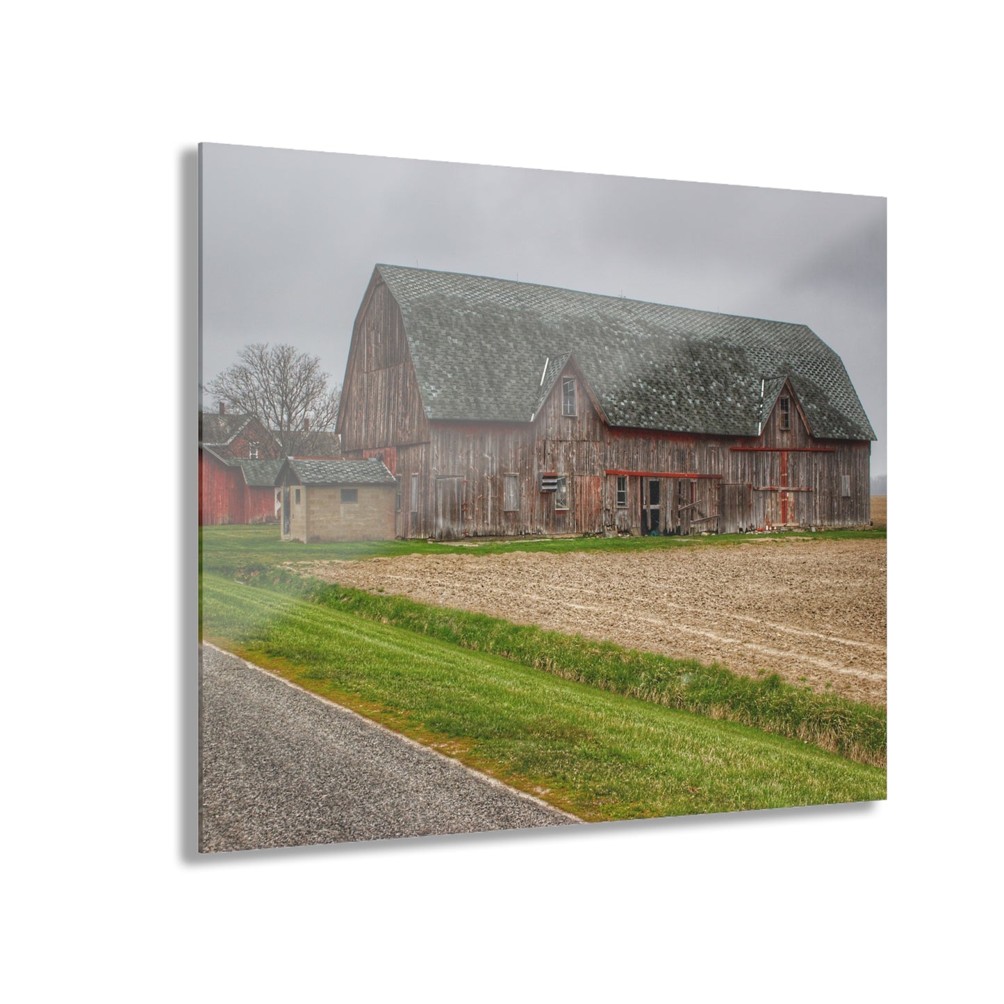 U R There Photography Roedel Roadside Reds I Rustic Farmhouse Acrylic Wall Print