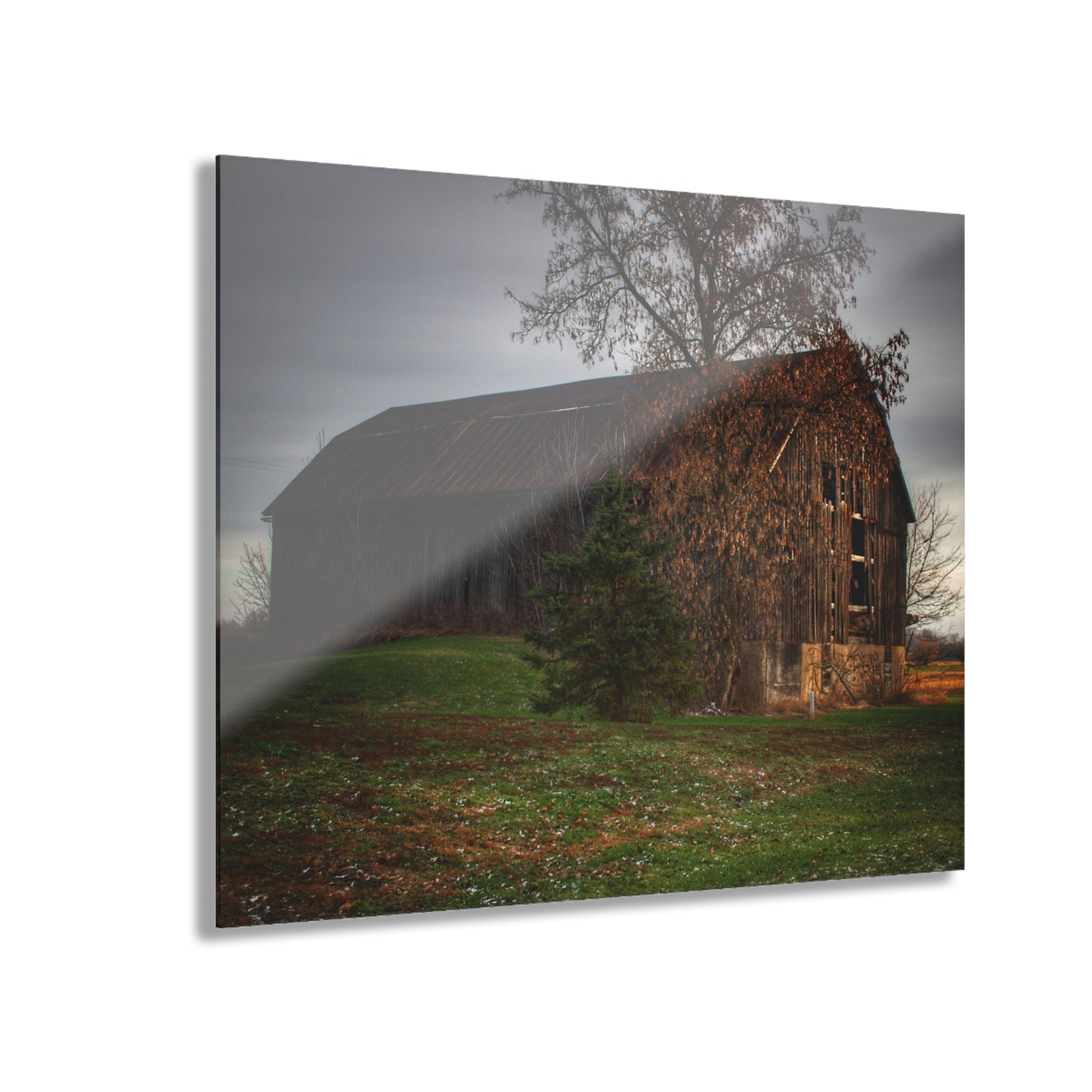 U R There Photography Melvin Grey Rustic Farmhouse Acrylic Wall Print