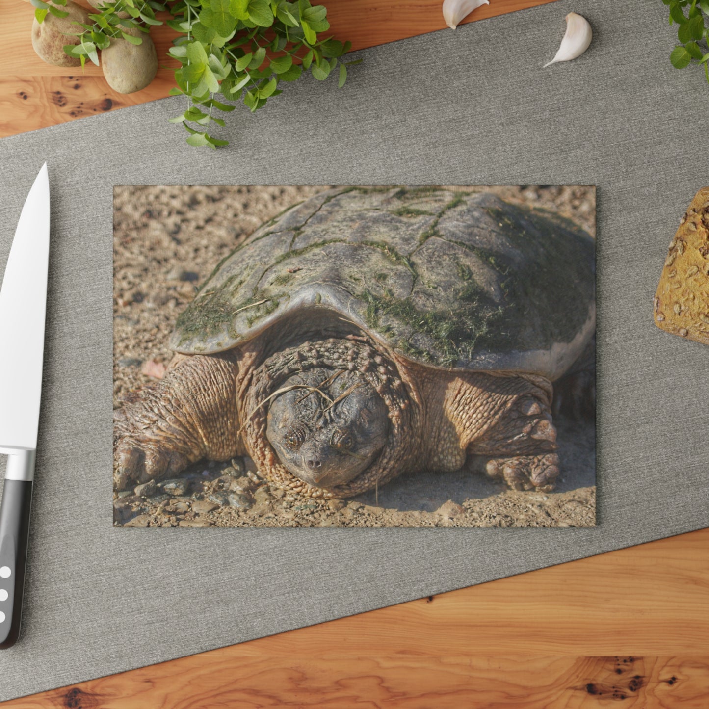 U R There Photography Fargo Road Turtle Rustic Farmhouse Tempered-Glass Cutting Board