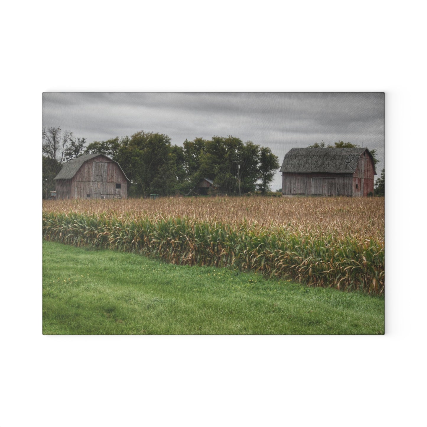 U R There Photography East Caro Road Reds Rustic Farmhouse Tempered-Glass Cutting Board