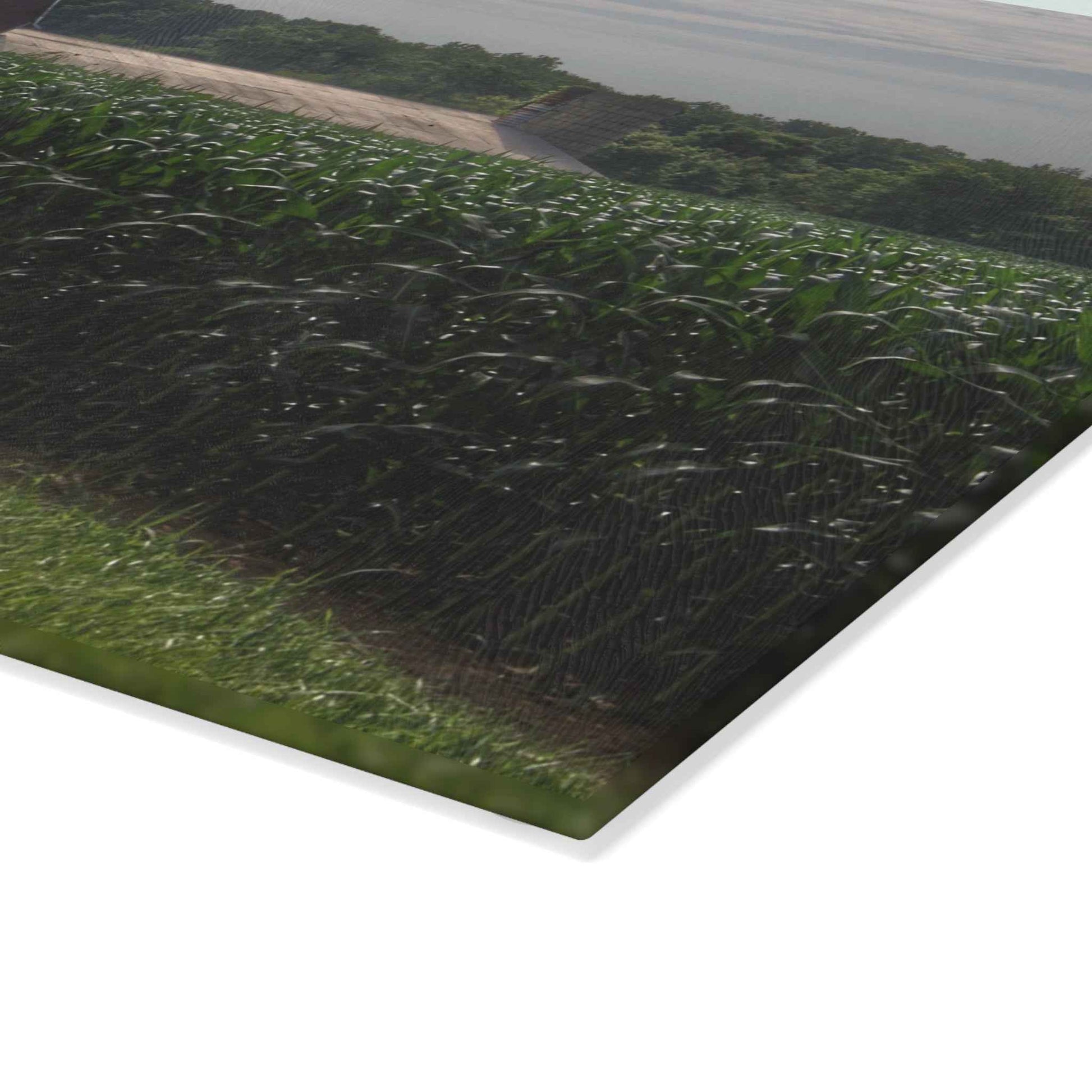 Rustic Farmhouse Cutting Board| Above the Corn on Piersonville Road I