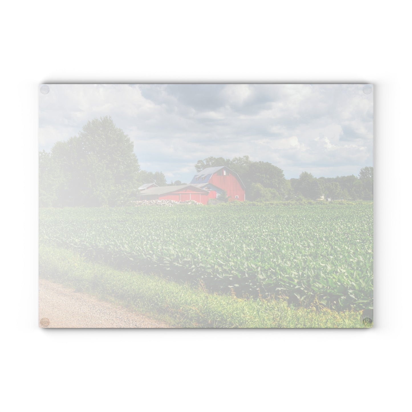 U R There Photography Block Road Reds Rustic Farmhouse Tempered-Glass Cutting Board