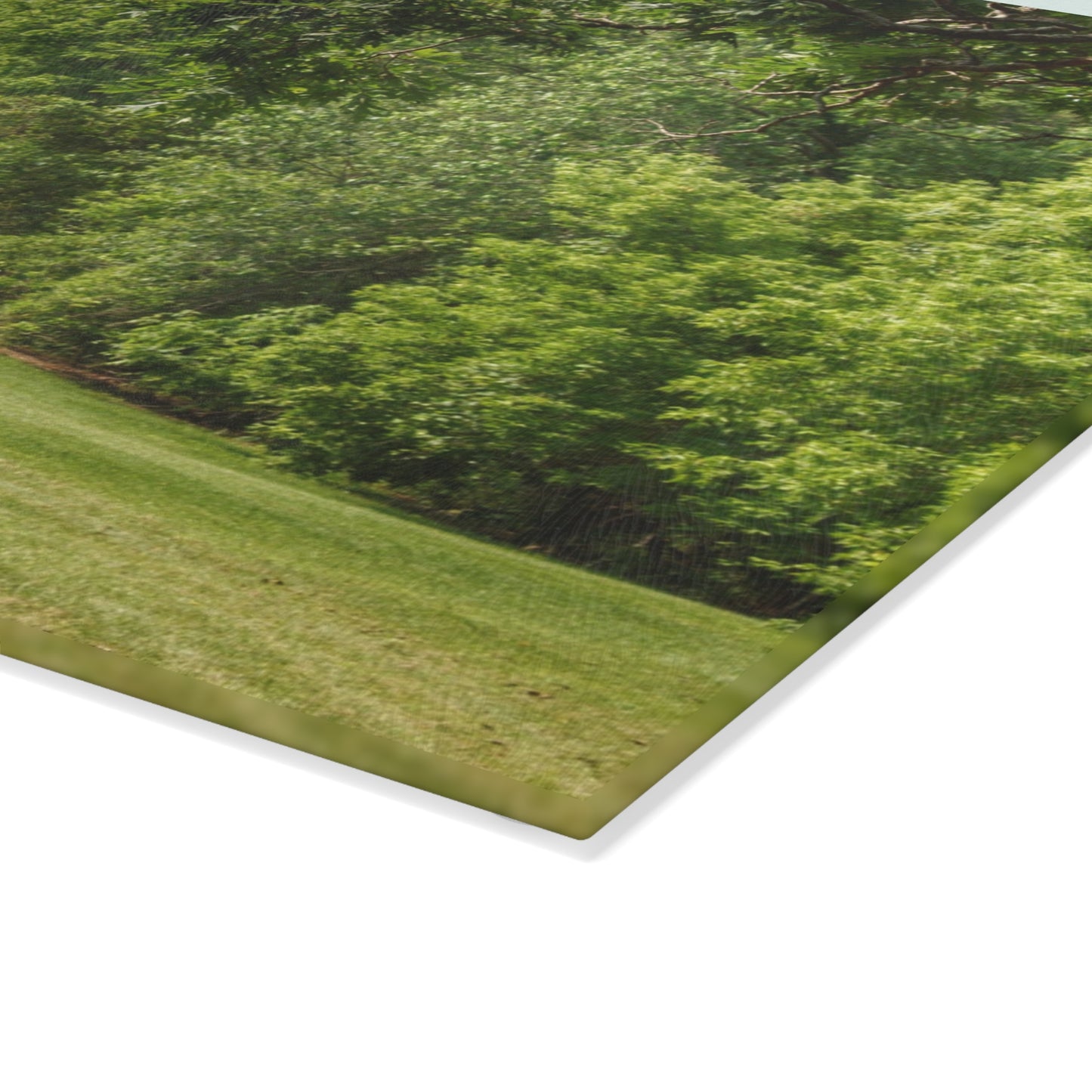 U R There Photography Hunters Creek White Rustic Farmhouse Tempered-Glass Cutting Board