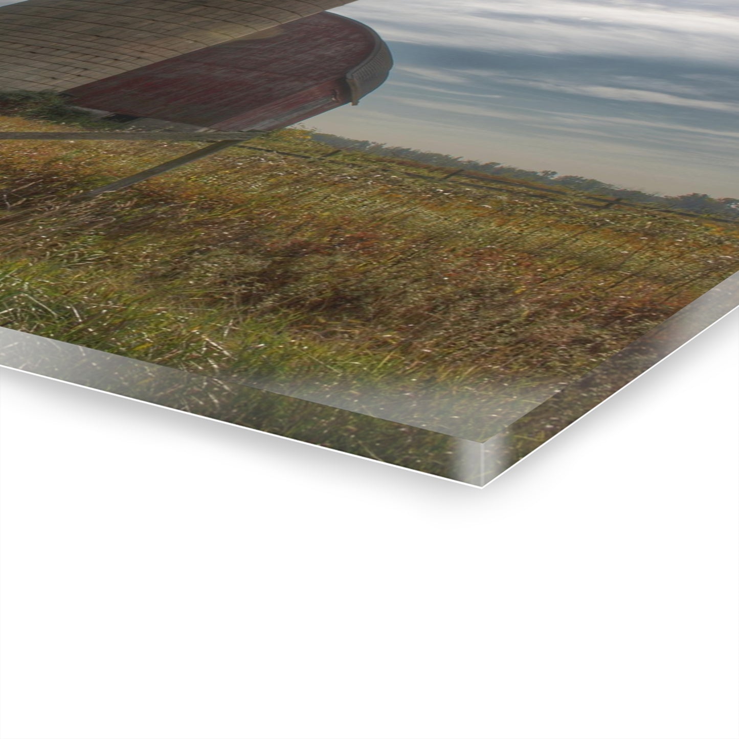 U R There Photography Mushroom Road Red II Rustic Farmhouse Acrylic Wall Print