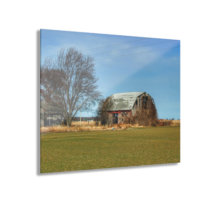 U R There Photography Bay City - Forestville Forgotten Grey Rustic Farmhouse Acrylic Wall Print