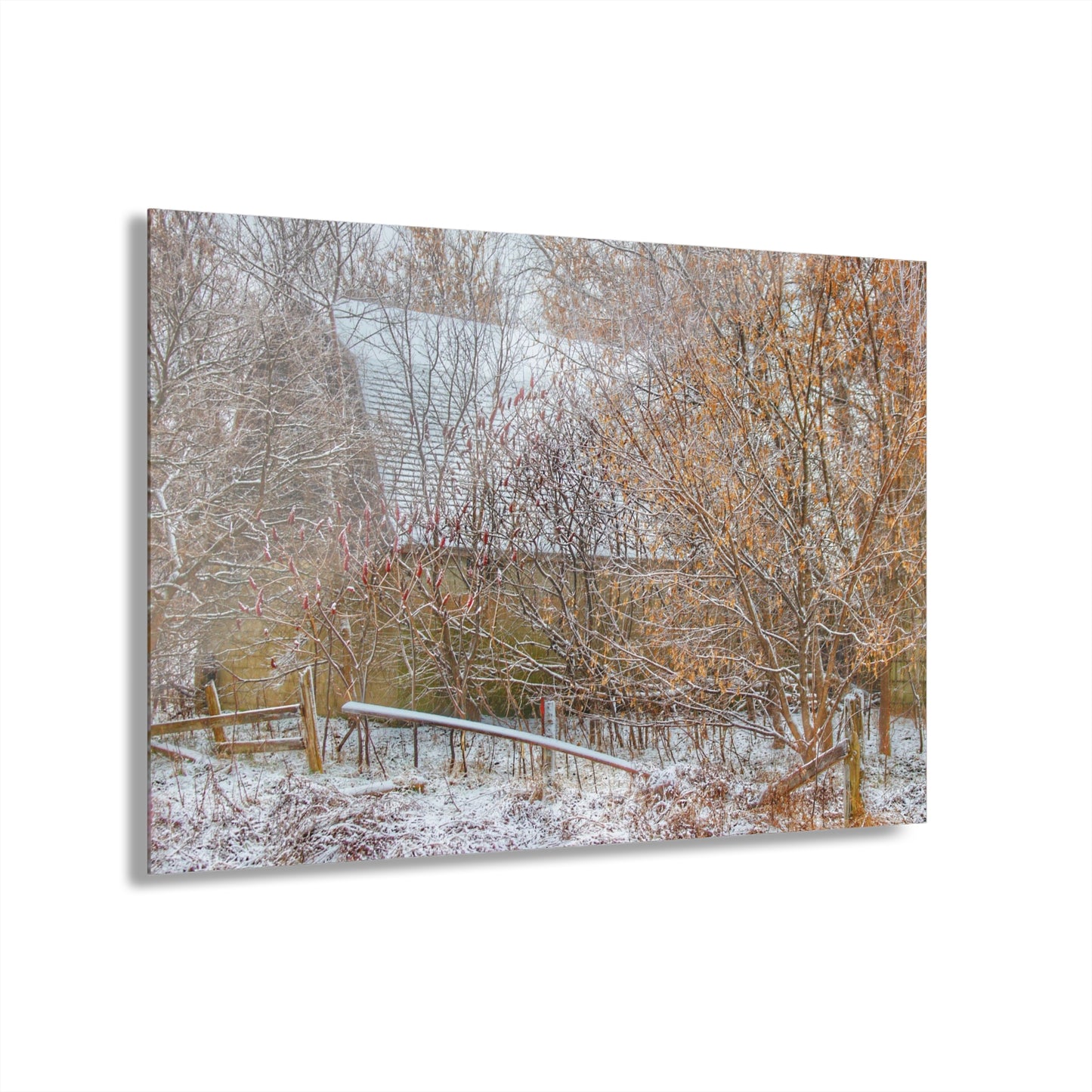 U R There Photography Dryden Road Hidden Winter Grey Rustic Farmhouse Acrylic Wall Print