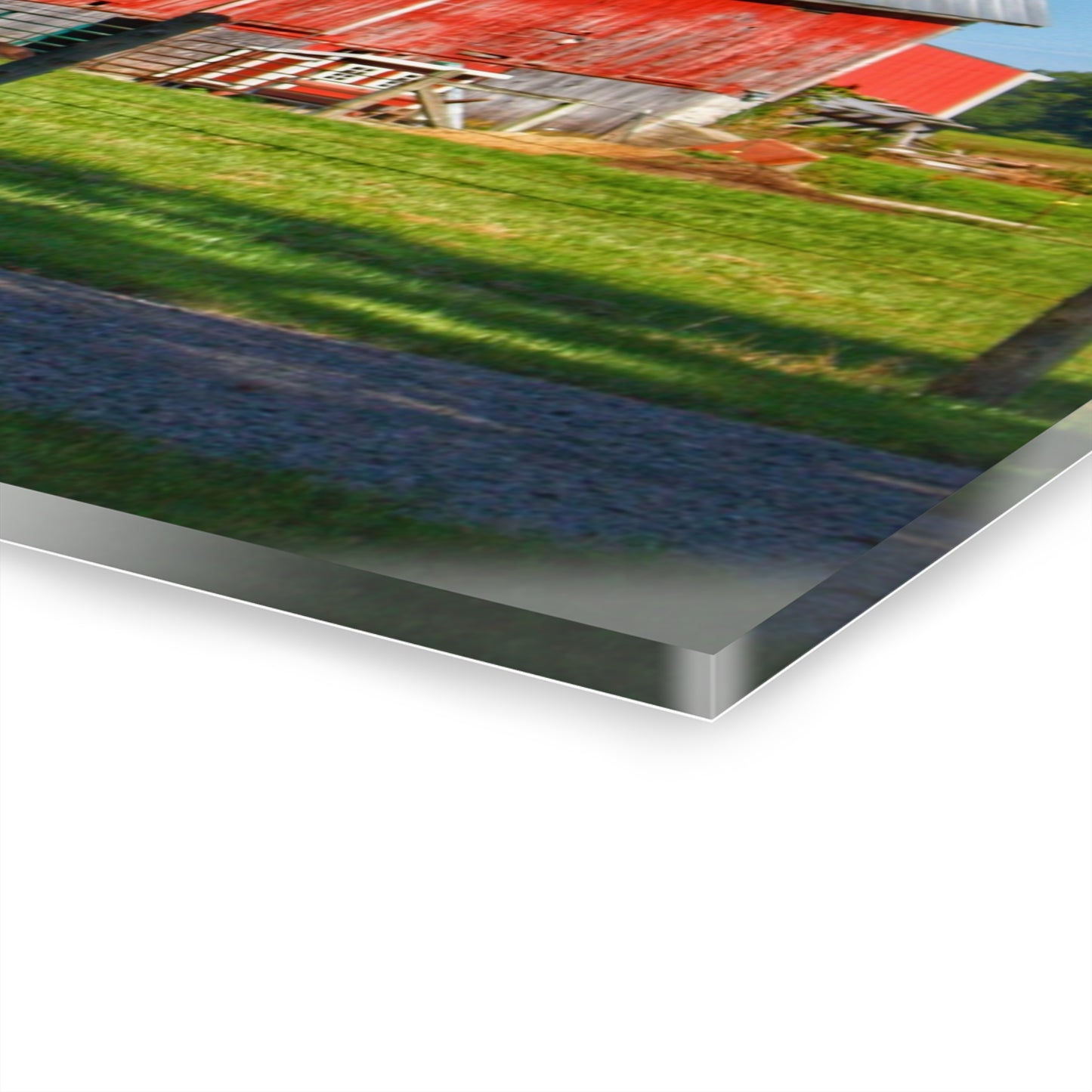 U R There Photography Frances Road Reds I Rustic Farmhouse Acrylic Wall Print