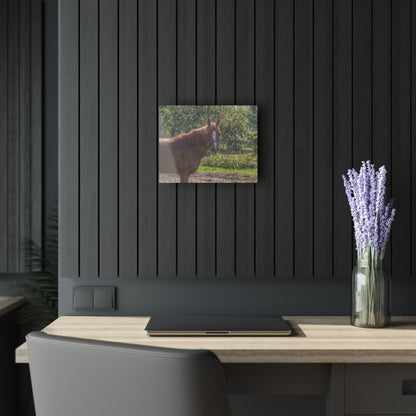 U R There Photography Froede Road Chestnut Brown Rustic Farmhouse Acrylic Wall Print