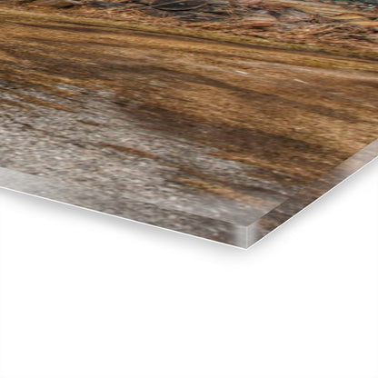 U R There Photography Dutcher Road Grey Rustic Farmhouse Acrylic Wall Print