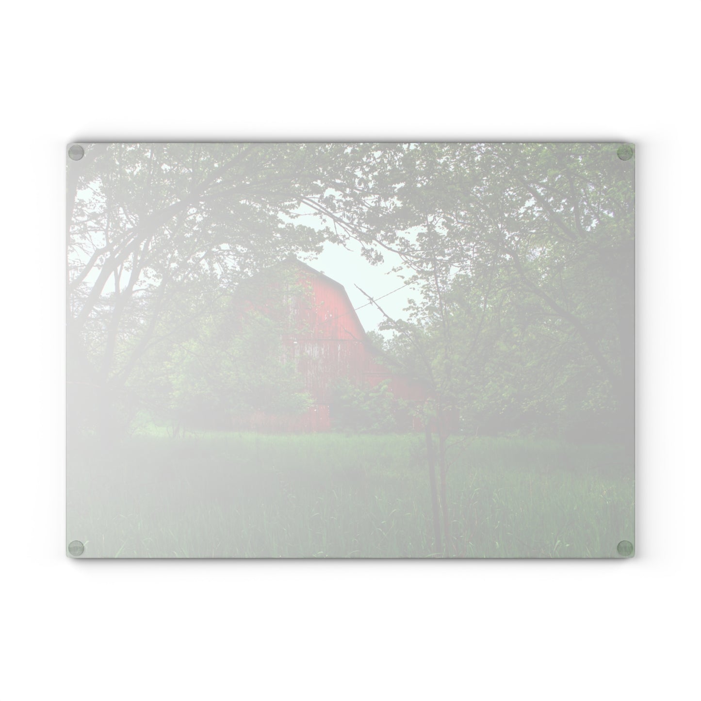 U R There Photography Bird Road Red Rustic Farmhouse Tempered-Glass Cutting Board