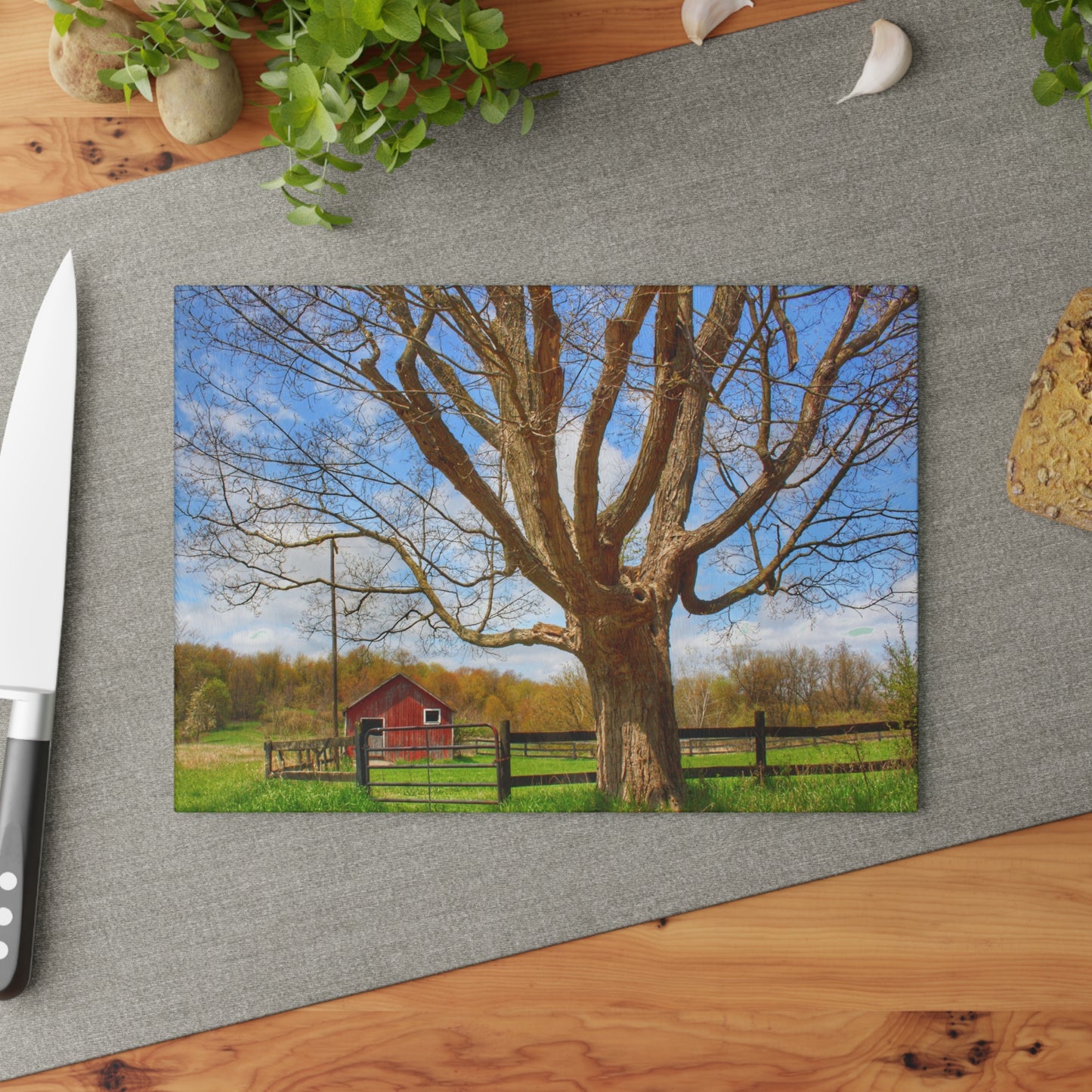 U R There Photography Delano Oak and Little Red Rustic Farmhouse Tempered-Glass Cutting Board