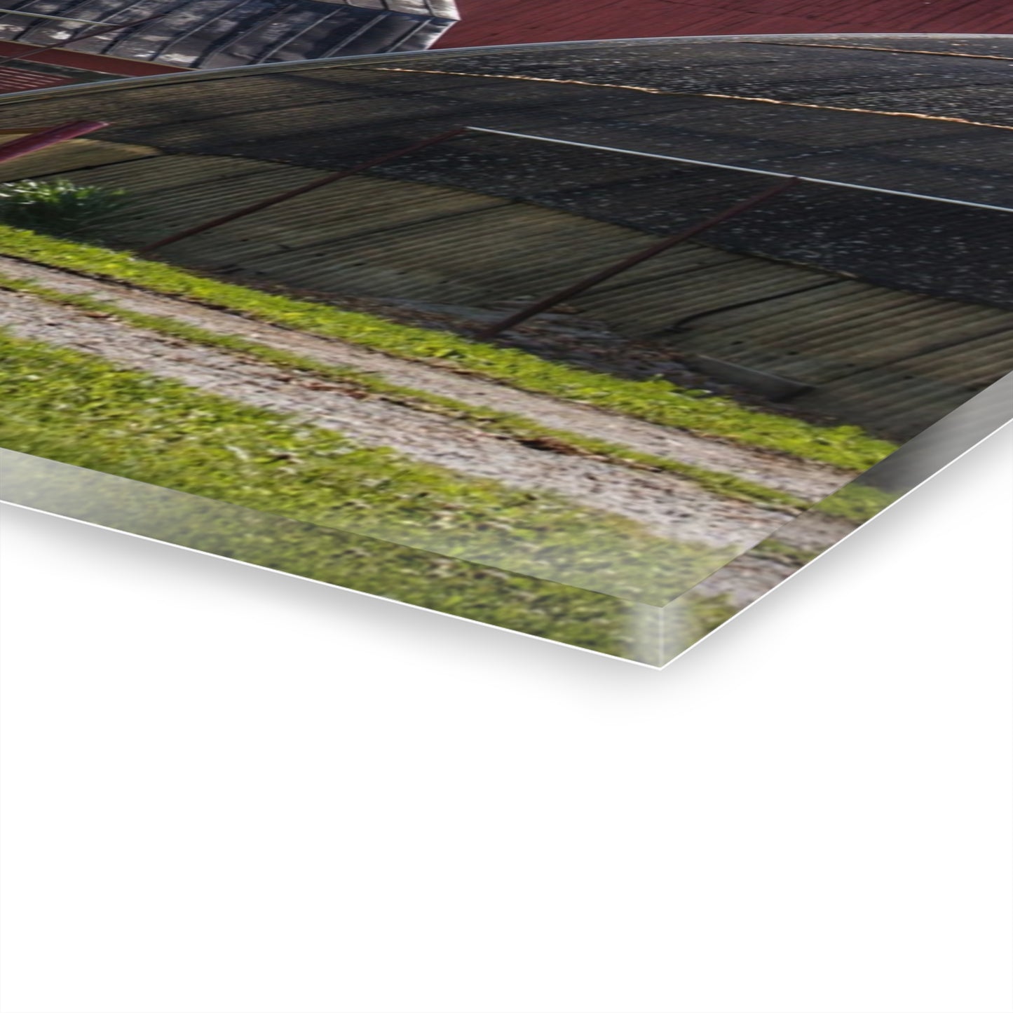 U R There Photography Hidden Reds Rustic Farmhouse Acrylic Wall Print