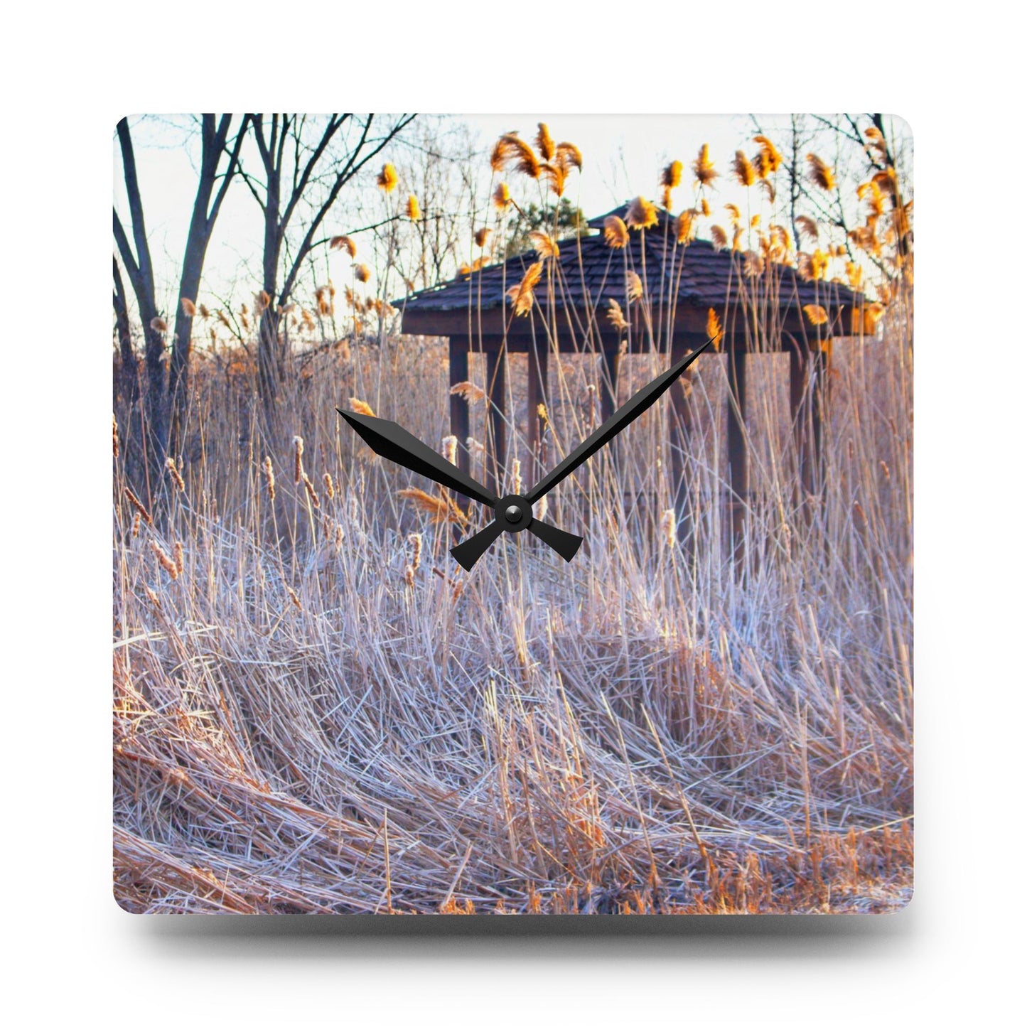 U R There Photography Haines Hidden Gazebo Rustic Farmhouse Acrylic Analog Wall Clock