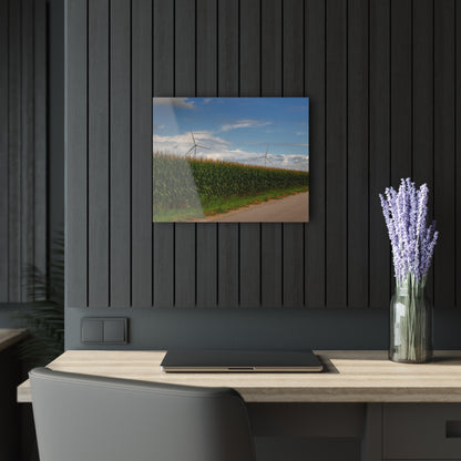 U R There Photography Gilford Road Corn Row Rustic Farmhouse Acrylic Wall Print