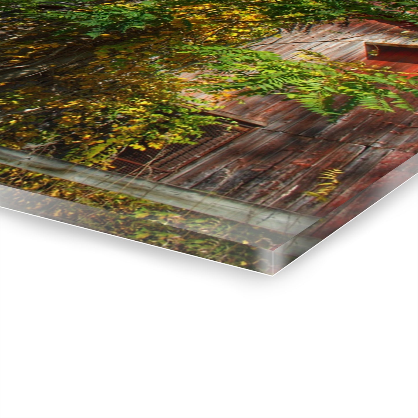 U R There Photography Oxford Rusted Red in Fall Rustic Farmhouse Acrylic Wall Print