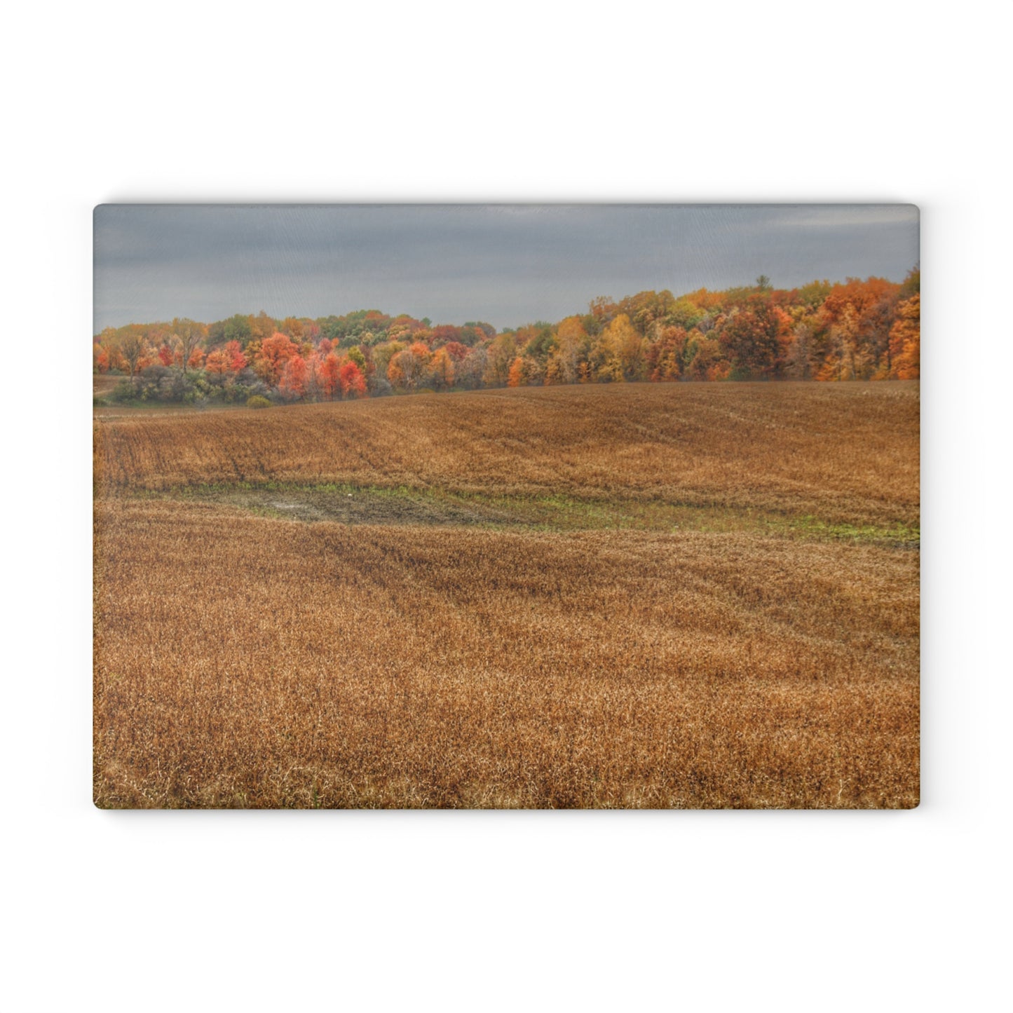 U R There Photography Colors of Fall on Lippincott Road Rustic Farmhouse Tempered-Glass Cutting Board