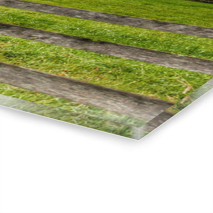 U R There Photography Hill Road Hillside White Rustic Farmhouse Acrylic Wall Print