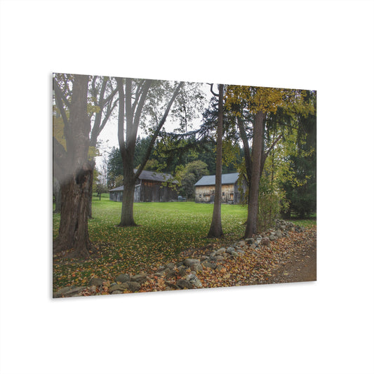 U R There Photography Wilder Road Greys I Rustic Farmhouse Acrylic Wall Print