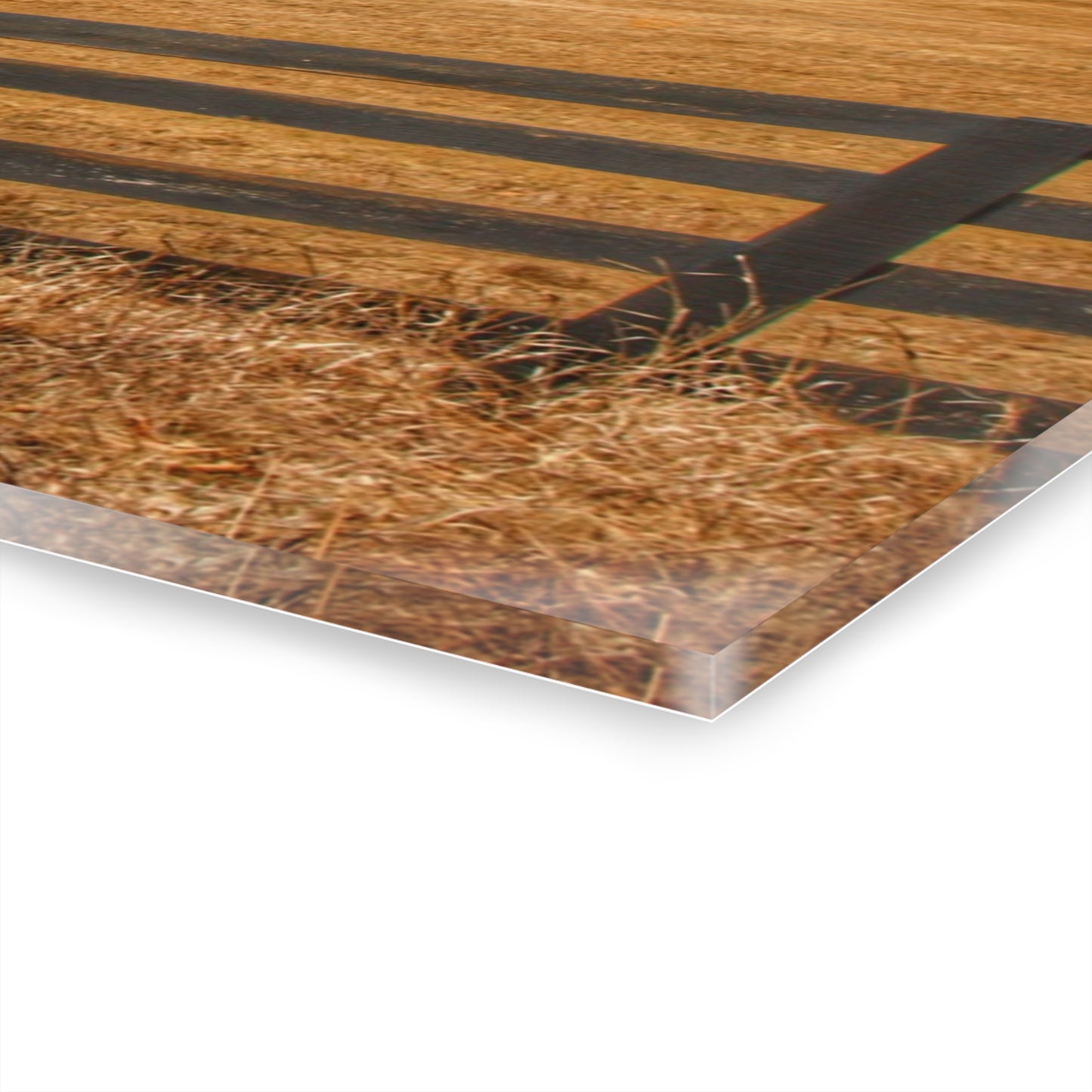 U R There Photography Green Barns and Broken Fences Rustic Farmhouse Acrylic Wall Print