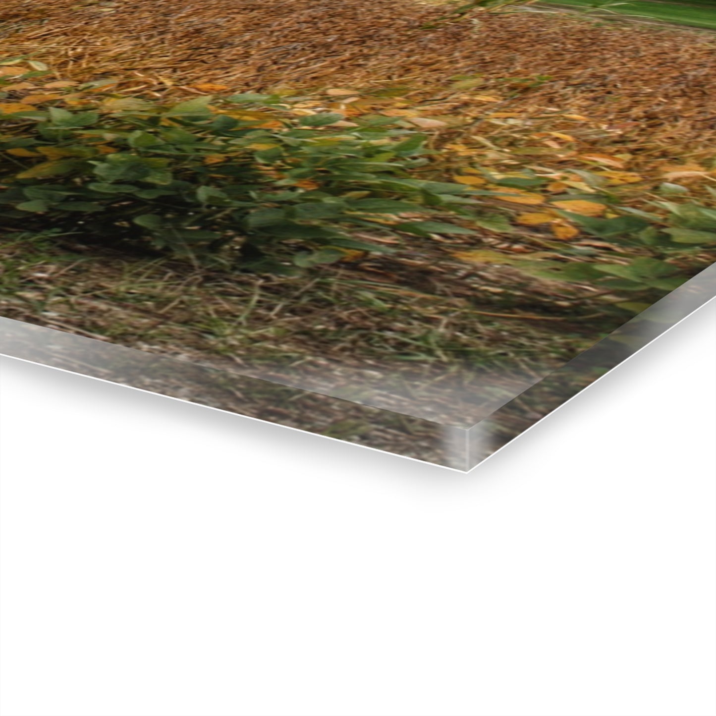 U R There Photography Murphy Lake Road Quonset Clan Rustic Farmhouse Acrylic Wall Print