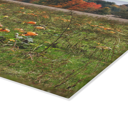 U R There Photography Once Upon a Time in a Pumpkin Patch Rustic Farmhouse Tempered-Glass Cutting Board