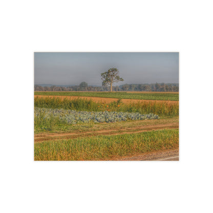 U R There Photography Cabbage and Pumpkin Patch Rustic Farmhouse Decorative Ceramic Tile