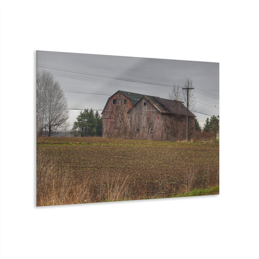 U R There Photography Bowers Road Grey Duo I Rustic Farmhouse Acrylic Wall Print
