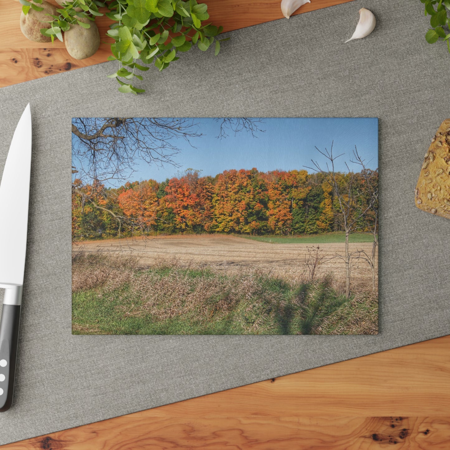 U R There Photography Fall on Piersonville Road Rustic Farmhouse Tempered-Glass Cutting Board