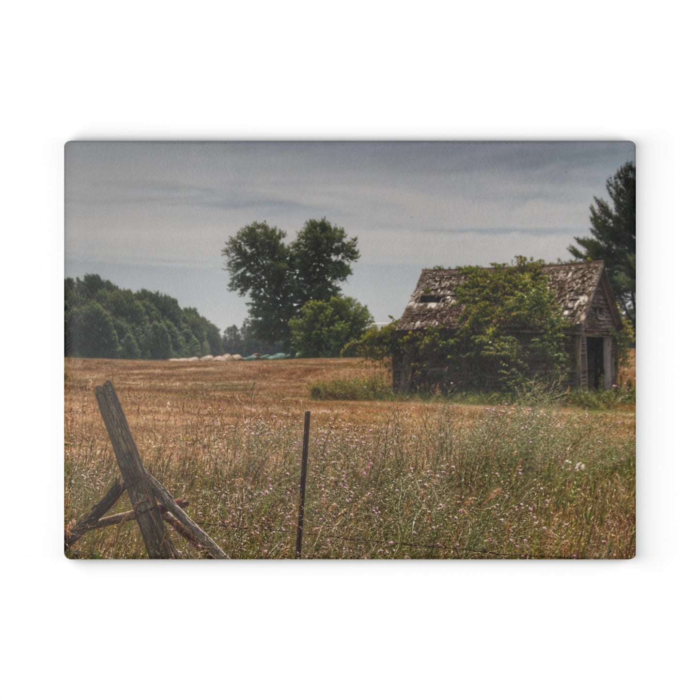 U R There Photography Waterman Road Shack Beyond the Fence Rustic Farmhouse Tempered-Glass Cutting Board