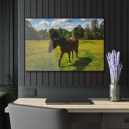 U R There Photography Brown Beauty II Rustic Farmhouse Acrylic Wall Print
