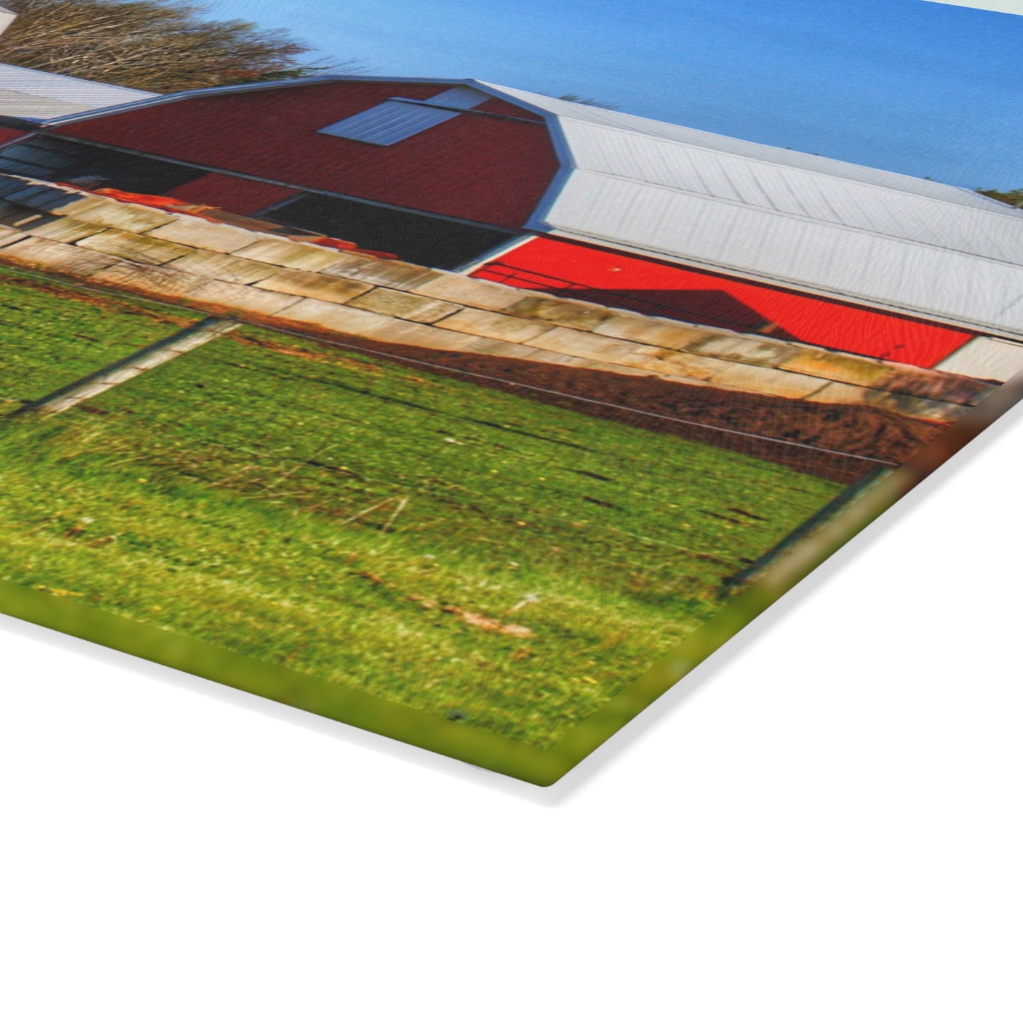 U R There Photography M-15 Reds Rustic Farmhouse Tempered-Glass Cutting Board