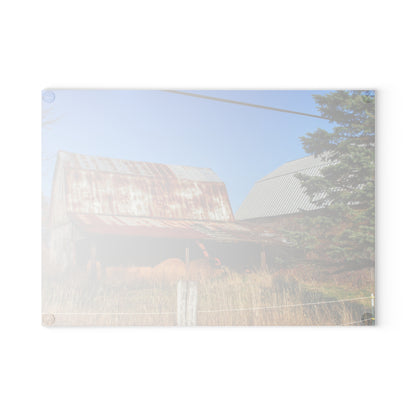 U R There Photography Dodge Road Hay Barn II Rustic Farmhouse Tempered-Glass Cutting Board