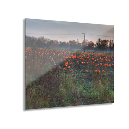 U R There Photography Five Lakes Pumpkins Rustic Farmhouse Acrylic Wall Print