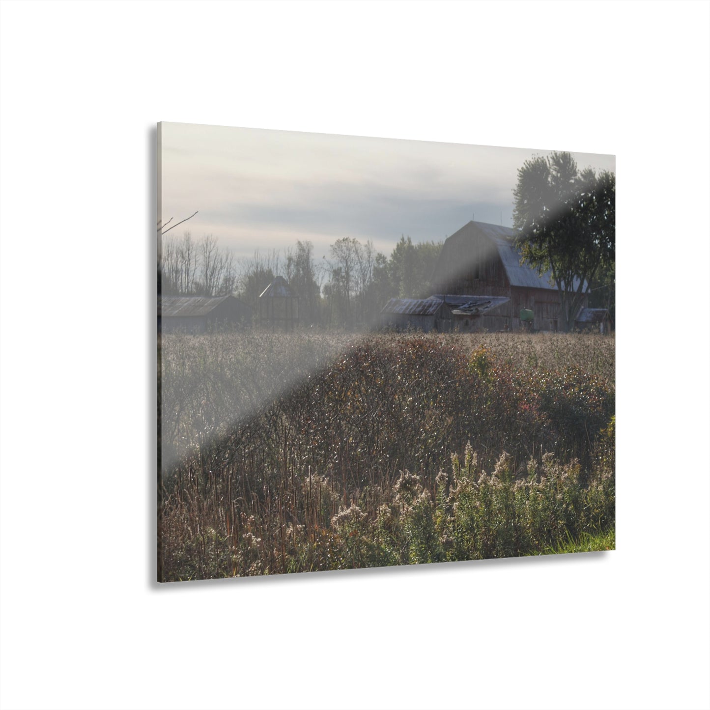 U R There Photography Brown City Road Red Rustic Farmhouse Acrylic Wall Print
