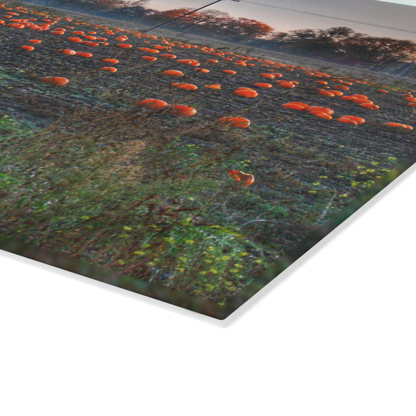 U R There Photography Five Lakes Pumpkins Rustic Farmhouse Tempered-Glass Cutting Board