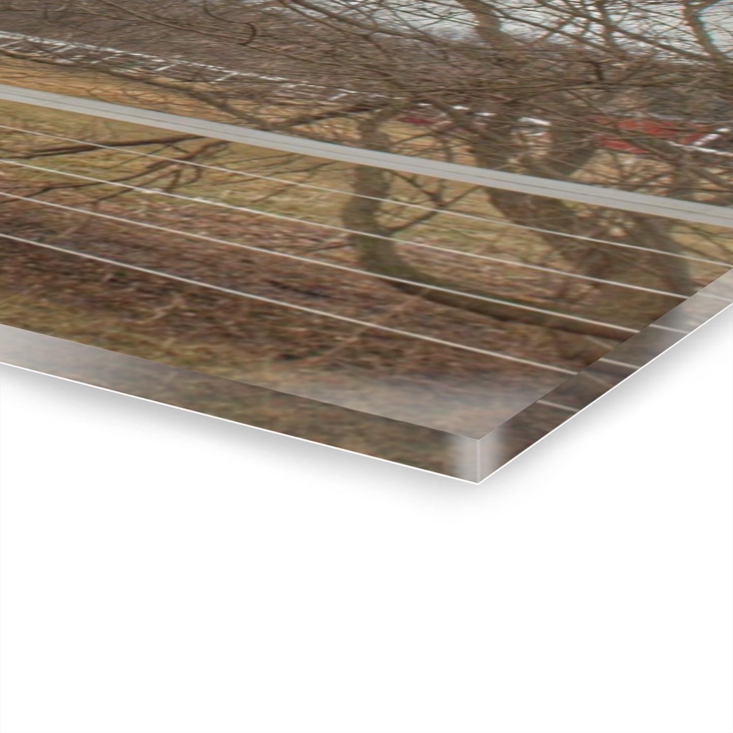 U R There Photography Diehl Road Red Rustic Farmhouse Acrylic Wall Print