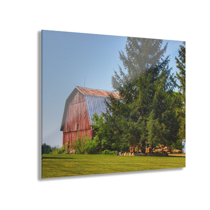 U R There Photography Mushroom Road Hidden Red Rustic Farmhouse Acrylic Wall Print