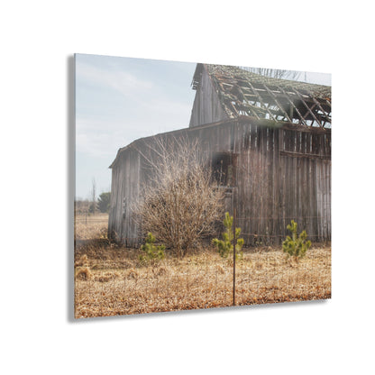 U R There Photography Leix Road Forgotten Grey II Rustic Farmhouse Acrylic Wall Print