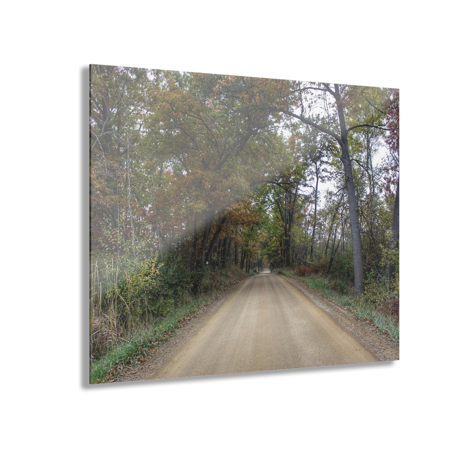 U R There Photography Country Roads in Dryden II Rustic Farmhouse Acrylic Wall Print