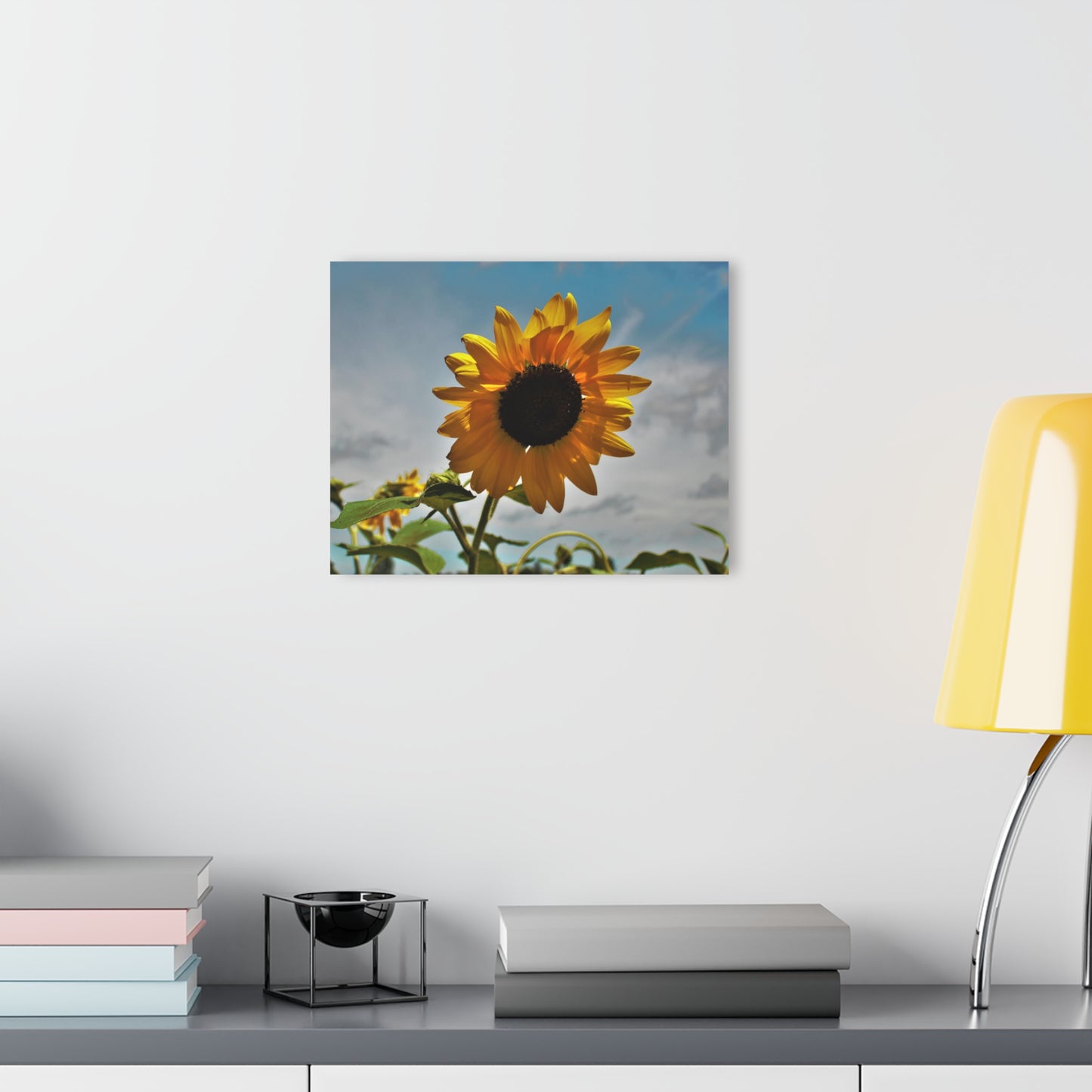 U R There Photography Awakening Sunflower Rustic Farmhouse Acrylic Wall Print