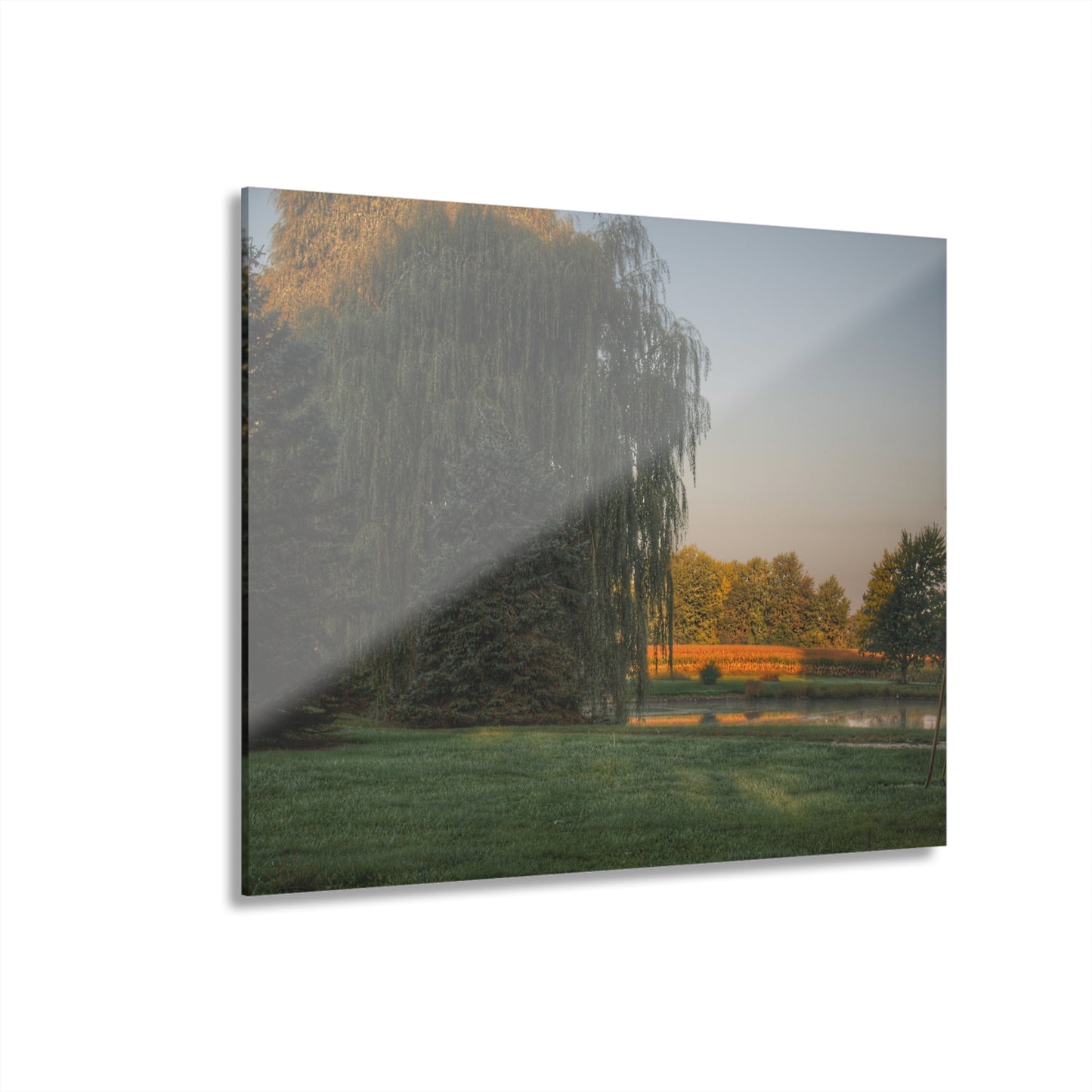 U R There Photography Sunrise on Willow Pond II Rustic Farmhouse Acrylic Wall Print