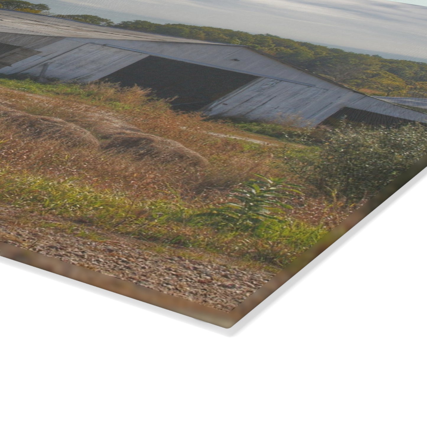 U R There Photography Hurd Corners Road Grey Shack Rustic Farmhouse Tempered-Glass Cutting Board