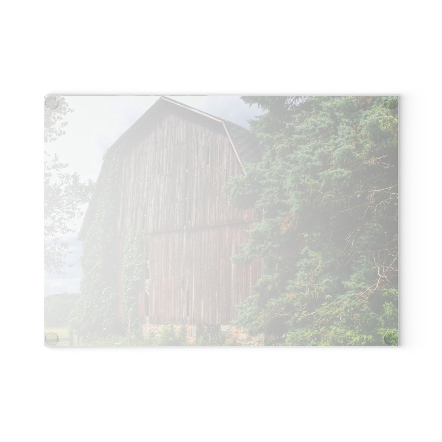 U R There Photography North Branch Ivy Grey I Rustic Farmhouse Tempered-Glass Cutting Board