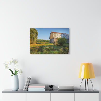 U R There Photography Snover Golden Grey Rustic Farmhouse Acrylic Wall Print