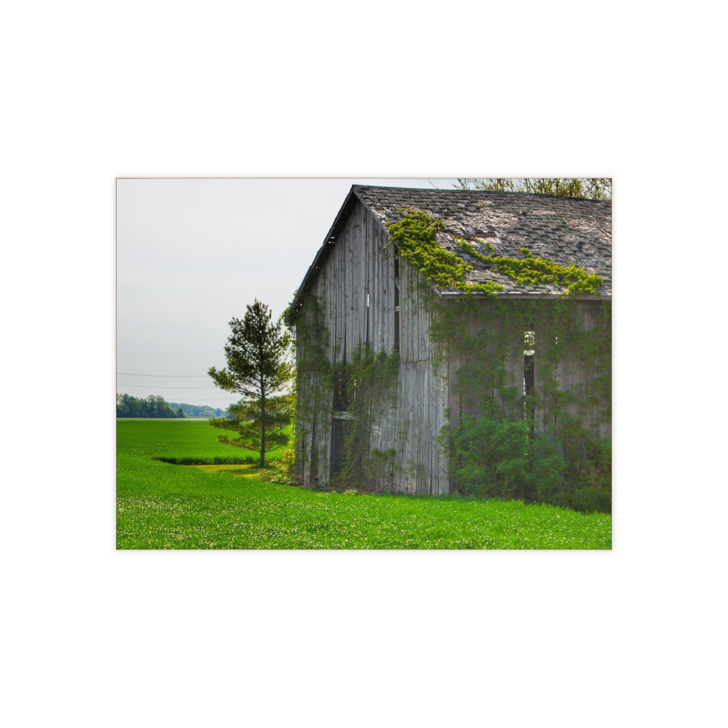 U R There Photography Caro Road Twin Grey I Rustic Farmhouse Decorative Ceramic Tile